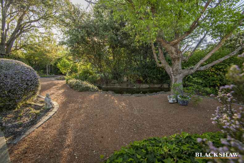 8 Mowle Place Weetangera 8 Mowle Place Weetangera