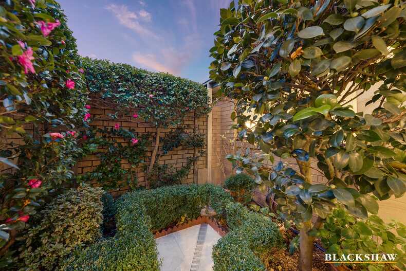 31/51 Musgrave Street Yarralumla