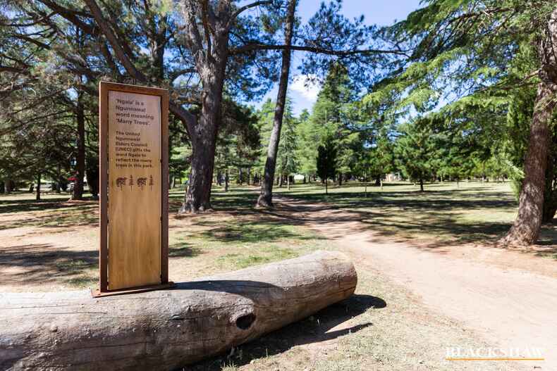 606/165 Northbourne Avenue Turner