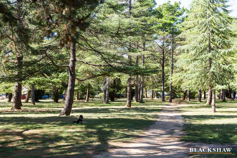 606/165 Northbourne Avenue Turner