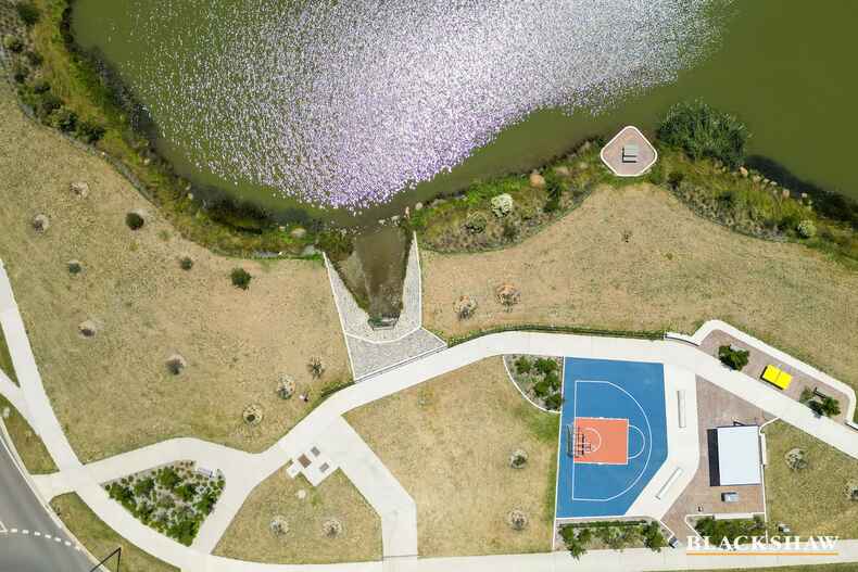 93 McDonagh Crescent Whitlam