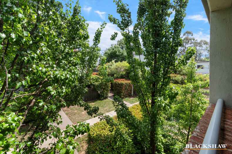 13/17 Majura Avenue Dickson