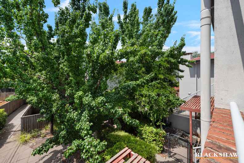 13/17 Majura Avenue Dickson