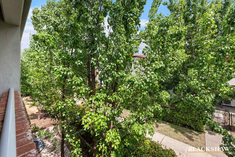 13/17 Majura Avenue Dickson