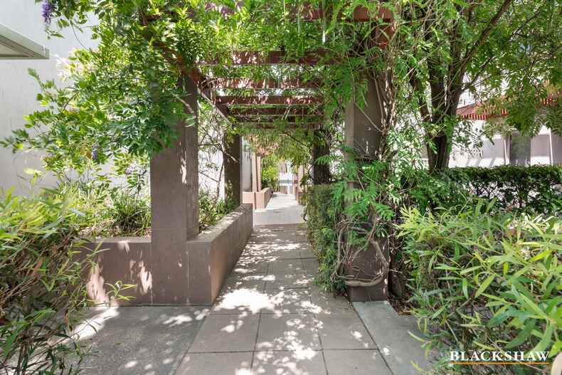 13/17 Majura Avenue Dickson