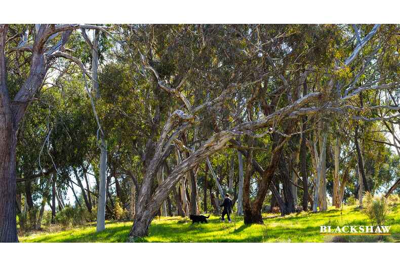 105/31 Thynne Street Bruce