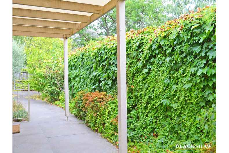 68B Novar Street Yarralumla 68B Novar Street Yarralumla