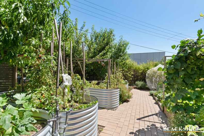 14 Fergusson Crescent Deakin 14 Fergusson Crescent Deakin