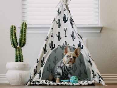 How our Property Managers can help you during summer