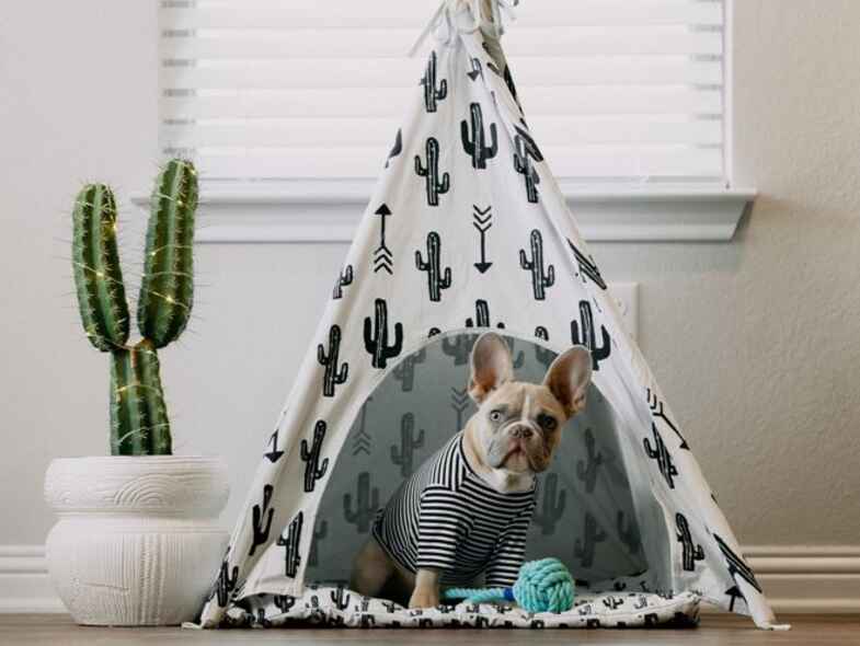 How our Property Managers can help you during summer