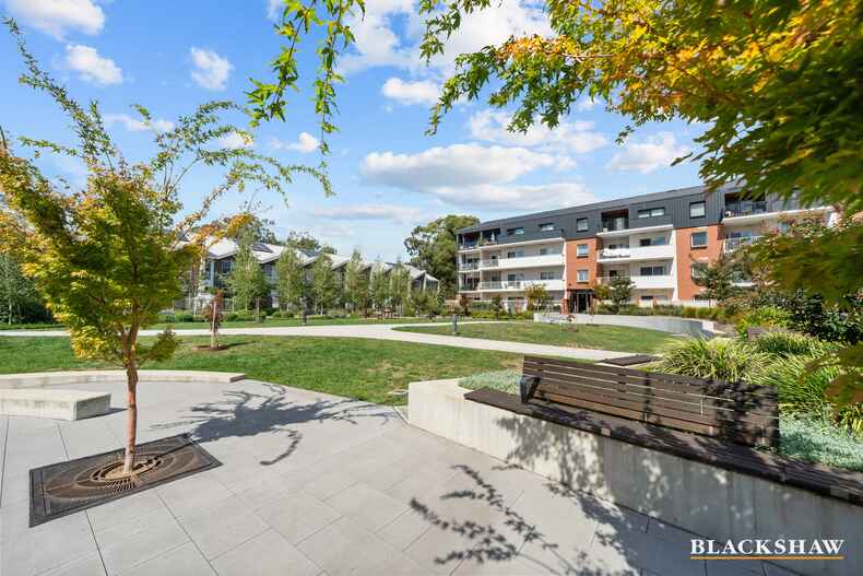 31/16 Bradfield Street Downer 31/16 Bradfield Street Downer