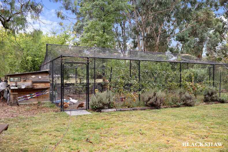 15A/62 Wattle Street Lyneham