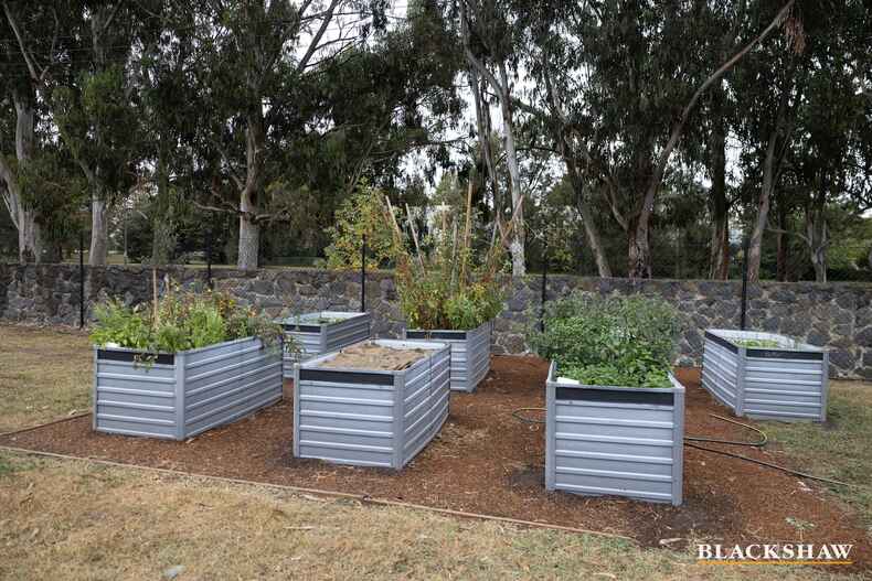 15A/62 Wattle Street Lyneham