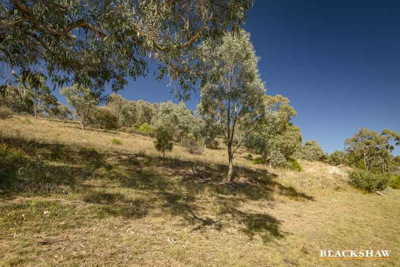 6 Eltham Place Theodore