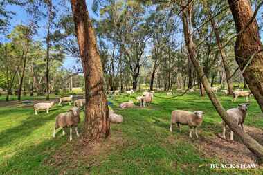 1199 Princes Highway Jeremadra