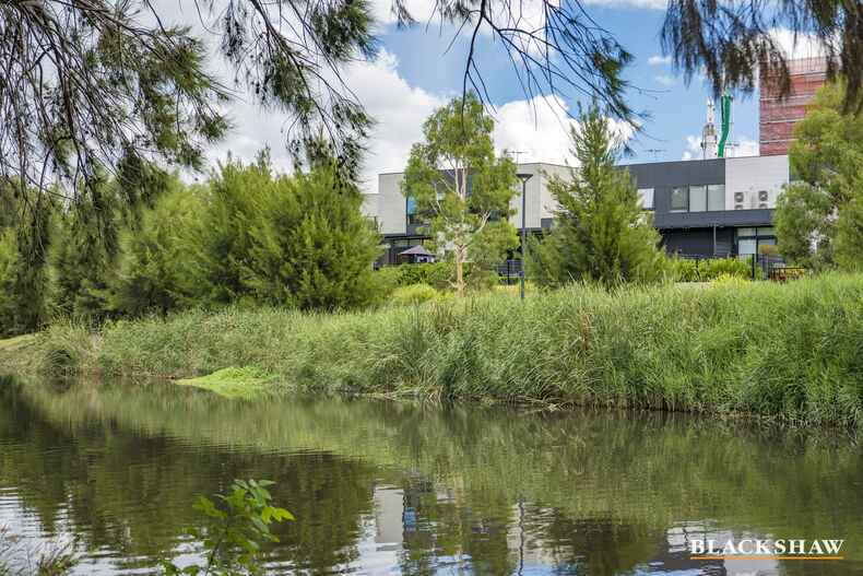 55 Cynthea Teague Crescent Greenway