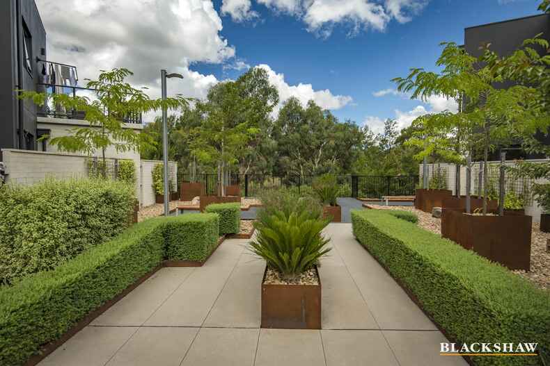 55 Cynthea Teague Crescent Greenway