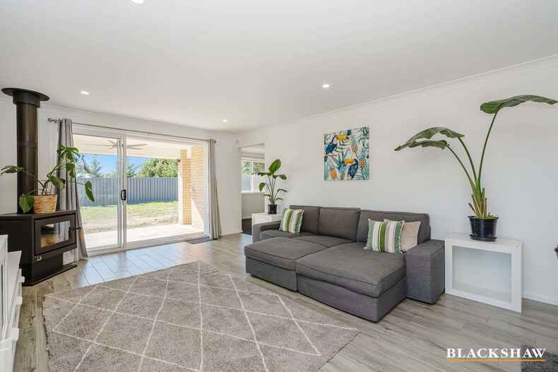 3 Lark Close Collector 3 Lark Close Collector