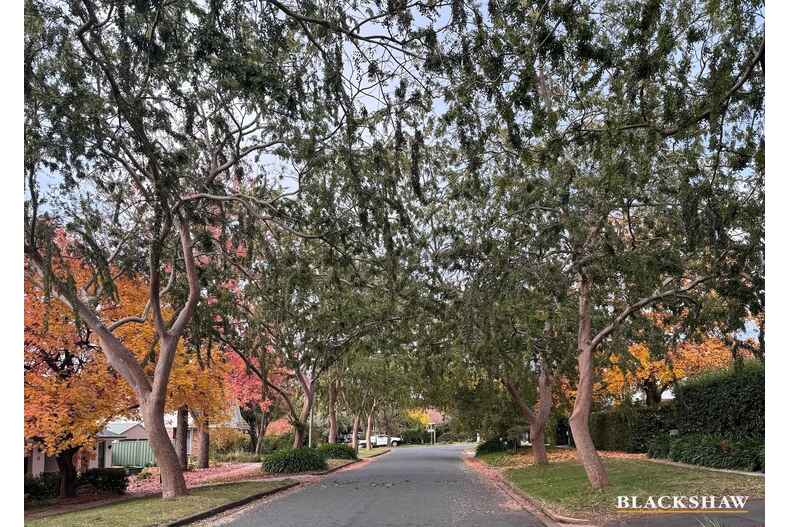 7 Carrington Street Deakin 7 Carrington Street Deakin