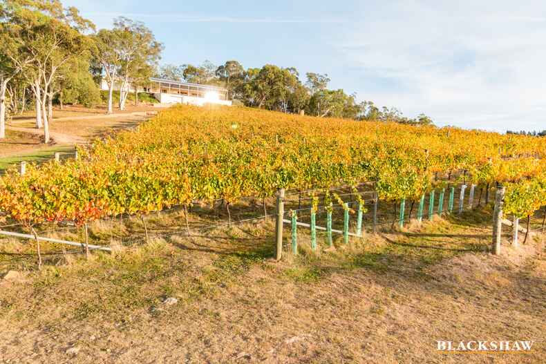 73 Joe Rocks Road Bungendore