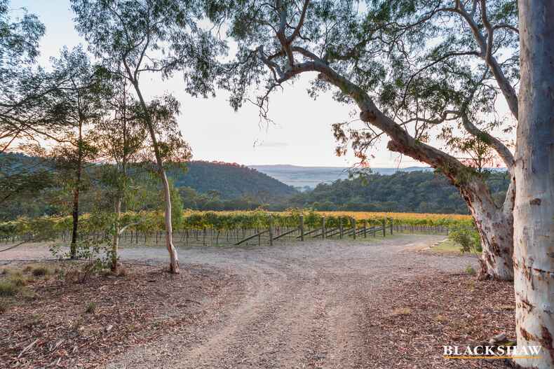 73 Joe Rocks Road Bungendore