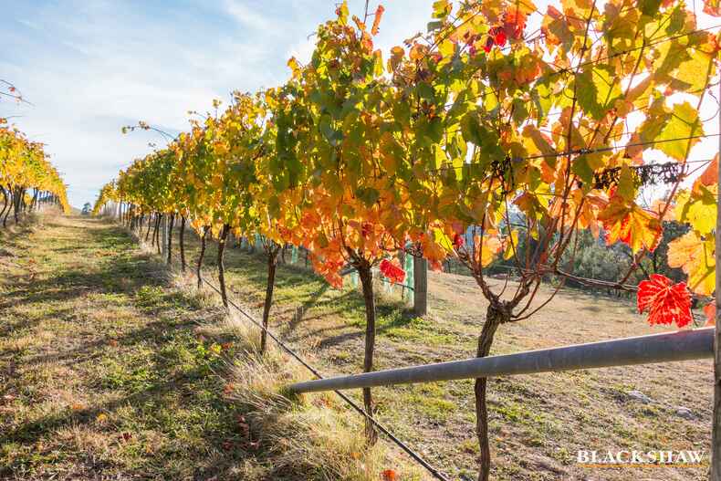 73 Joe Rocks Road Bungendore