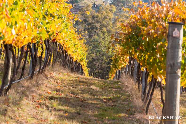 73 Joe Rocks Road Bungendore