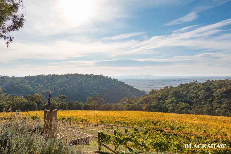 73 Joe Rocks Road Bungendore