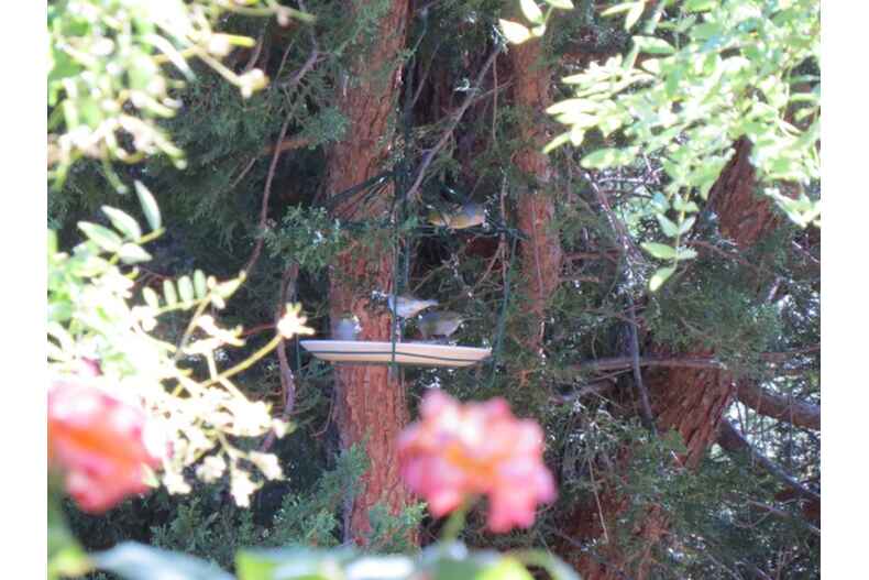 Lot 27/3 Butlin Place Theodore