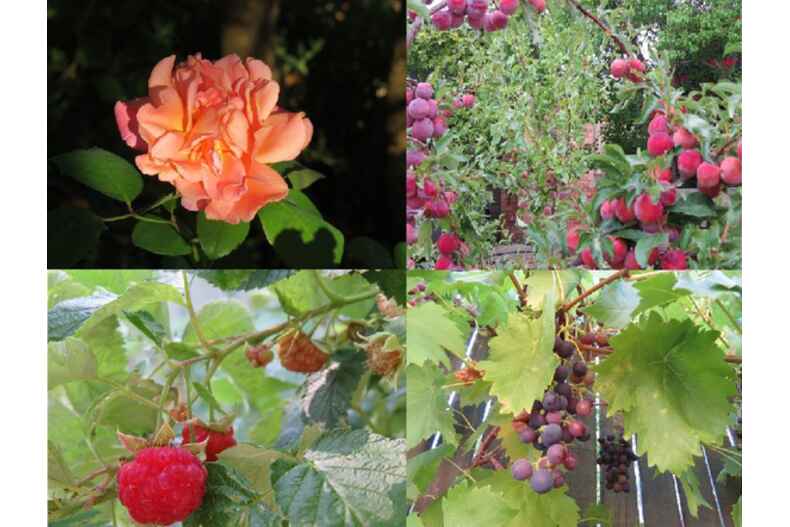 Lot 27/3 Butlin Place Theodore