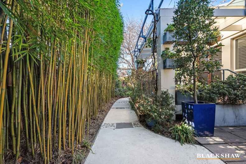 6 Glossop Crescent Campbell 6 Glossop Crescent Campbell