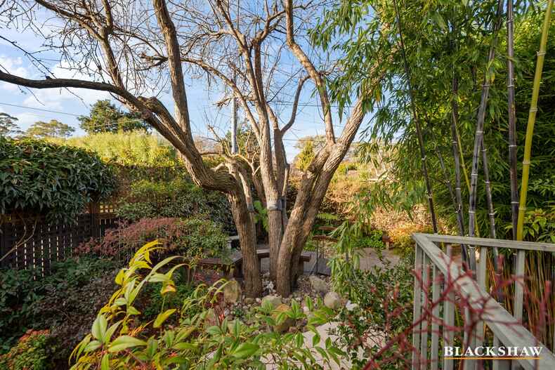 6 Glossop Crescent Campbell 6 Glossop Crescent Campbell