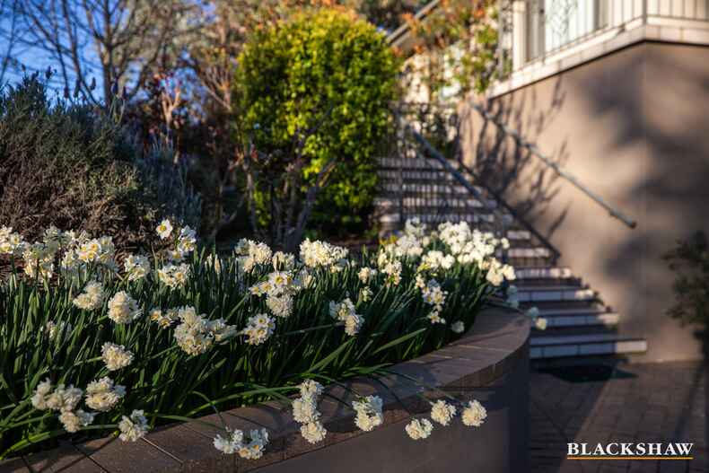 33 Marrakai Street Hawker