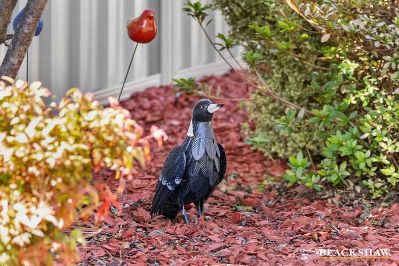 30 Ivo Whitton Circuit Kambah 30 Ivo Whitton Circuit Kambah