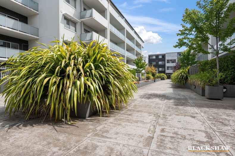 19/56 Cowlishaw Street Greenway