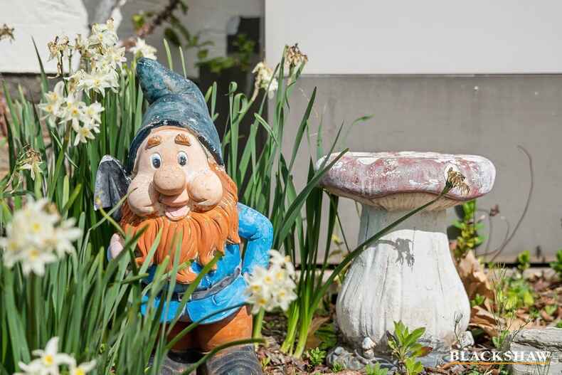 105 Fitchett Street Garran