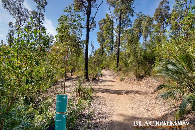 10 Park Street Mogo 10 Park Street Mogo