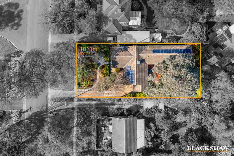 115 Scrivener Street O'Connor