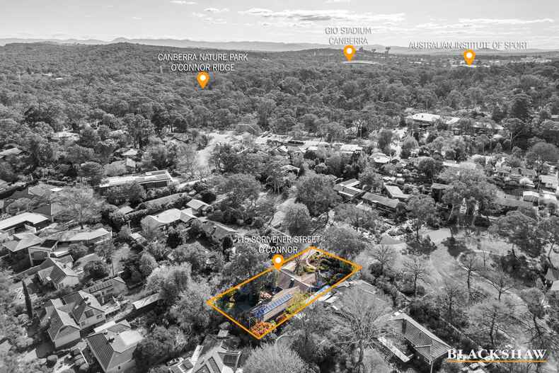 115 Scrivener Street O'Connor