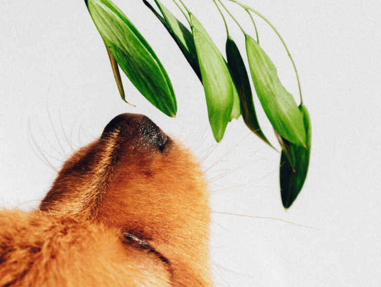 10 tips for reducing allergens at home 10 tips for reducing allergens at home