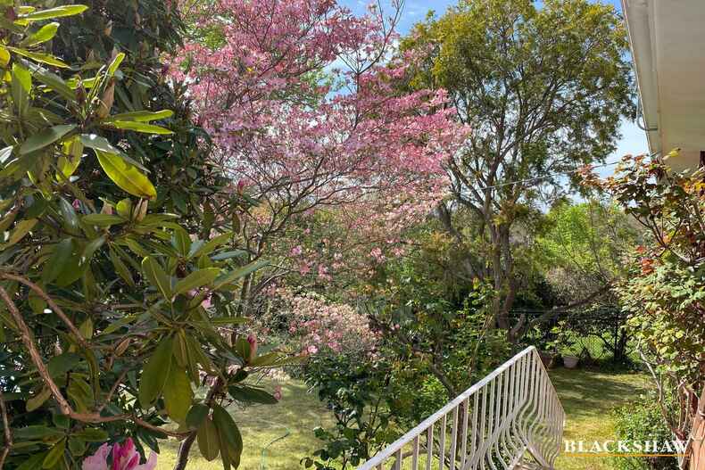 250 La Perouse Street Red Hill 250 La Perouse Street Red Hill