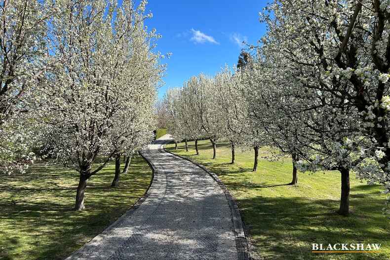 63 Evans Road Googong 63 Evans Road Googong