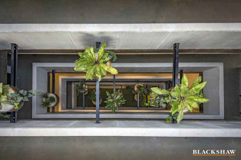 104/1 The Causeway  Kingston