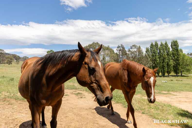 1061 Smiths Road The Angle 1061 Smiths Road The Angle