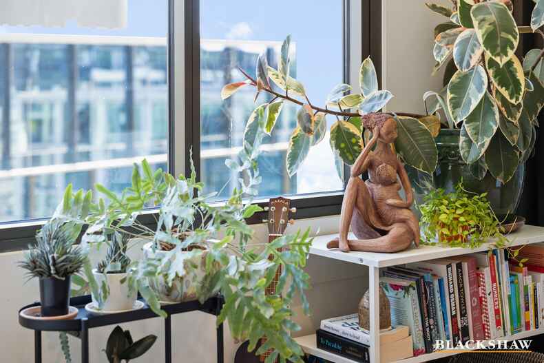 706/21 Challis Street Dickson