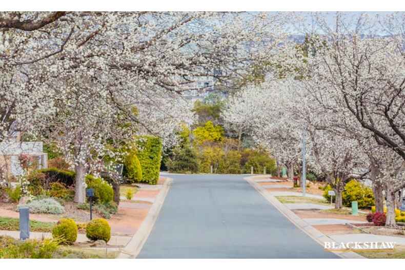 32 Scratchley Place Monash