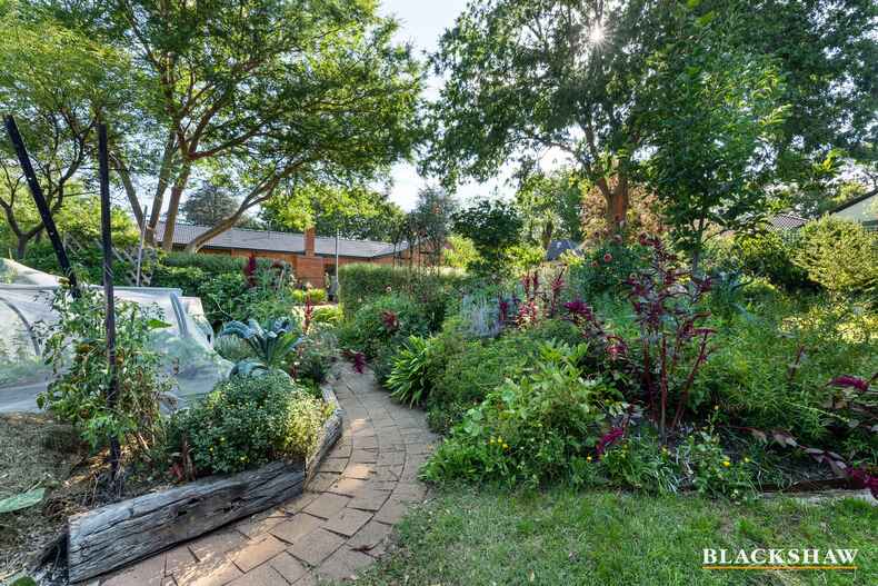 93 Captain Cook Crescent Narrabundah 93 Captain Cook Crescent Narrabundah