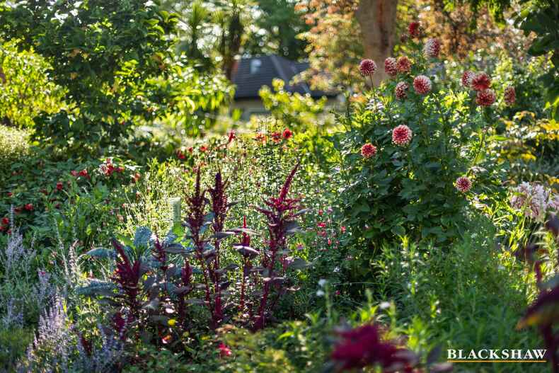 93 Captain Cook Crescent Narrabundah 93 Captain Cook Crescent Narrabundah