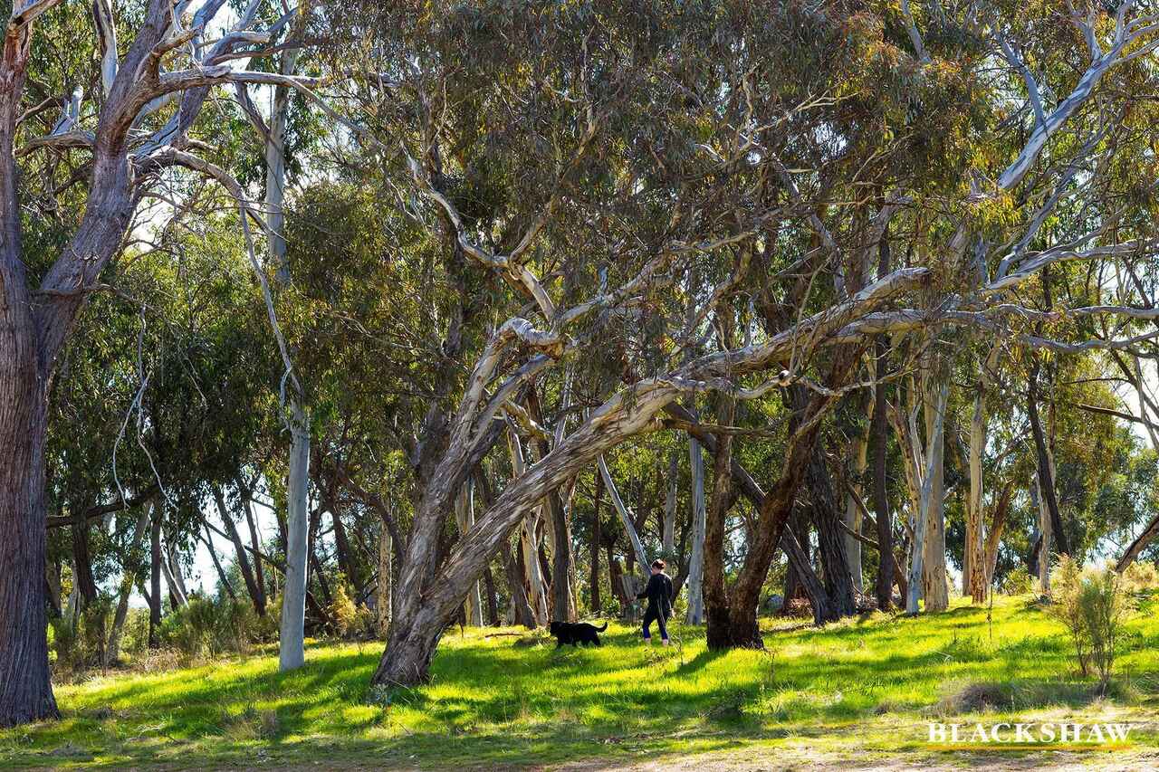 118/31 Thynne Street Bruce