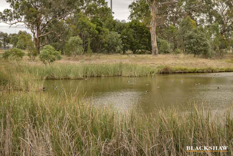 5 Tanami Street Harrison